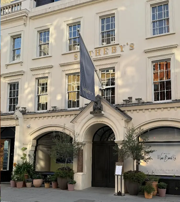 Elegant hotel entrance with a black flag and potted plants.